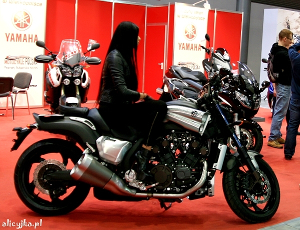 motor show 2013